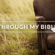 Through My Bible Yr 03 – March 24