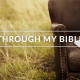 Through My Bible Yr 01 – April 27