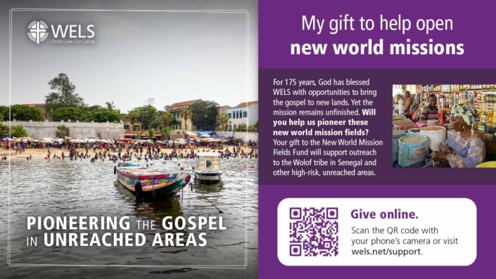 WELS_Display_Graphics_AppealGraphics_12-25-web