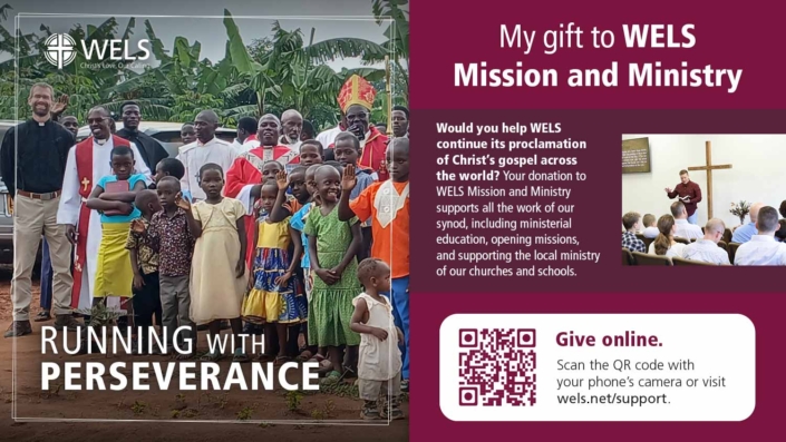 WELS_Display_Graphics_AppealGraphics_1-26-web