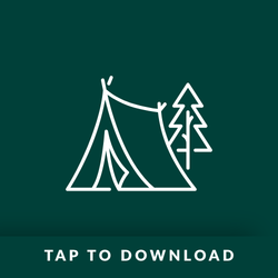 Summer-Camps