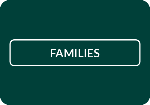 WELS.net-ConsiderMinistryHomepageGraphic-Families-2026